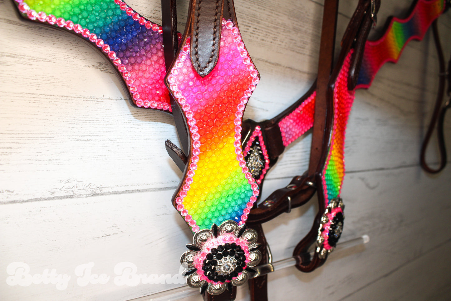 Rainbow Riot