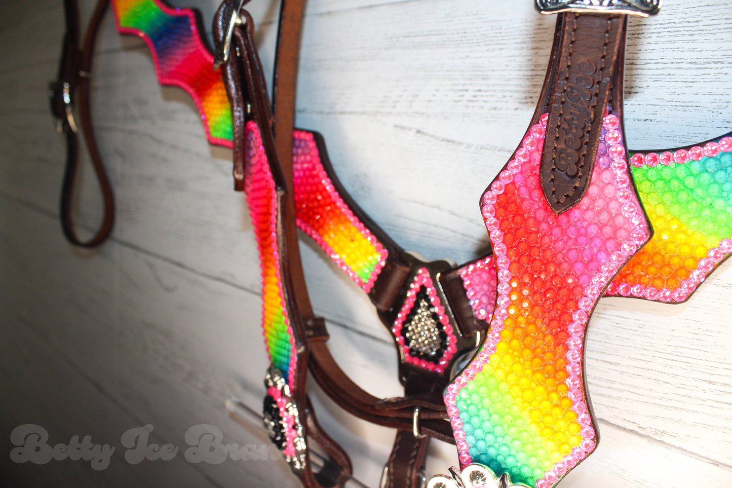 Rainbow Riot