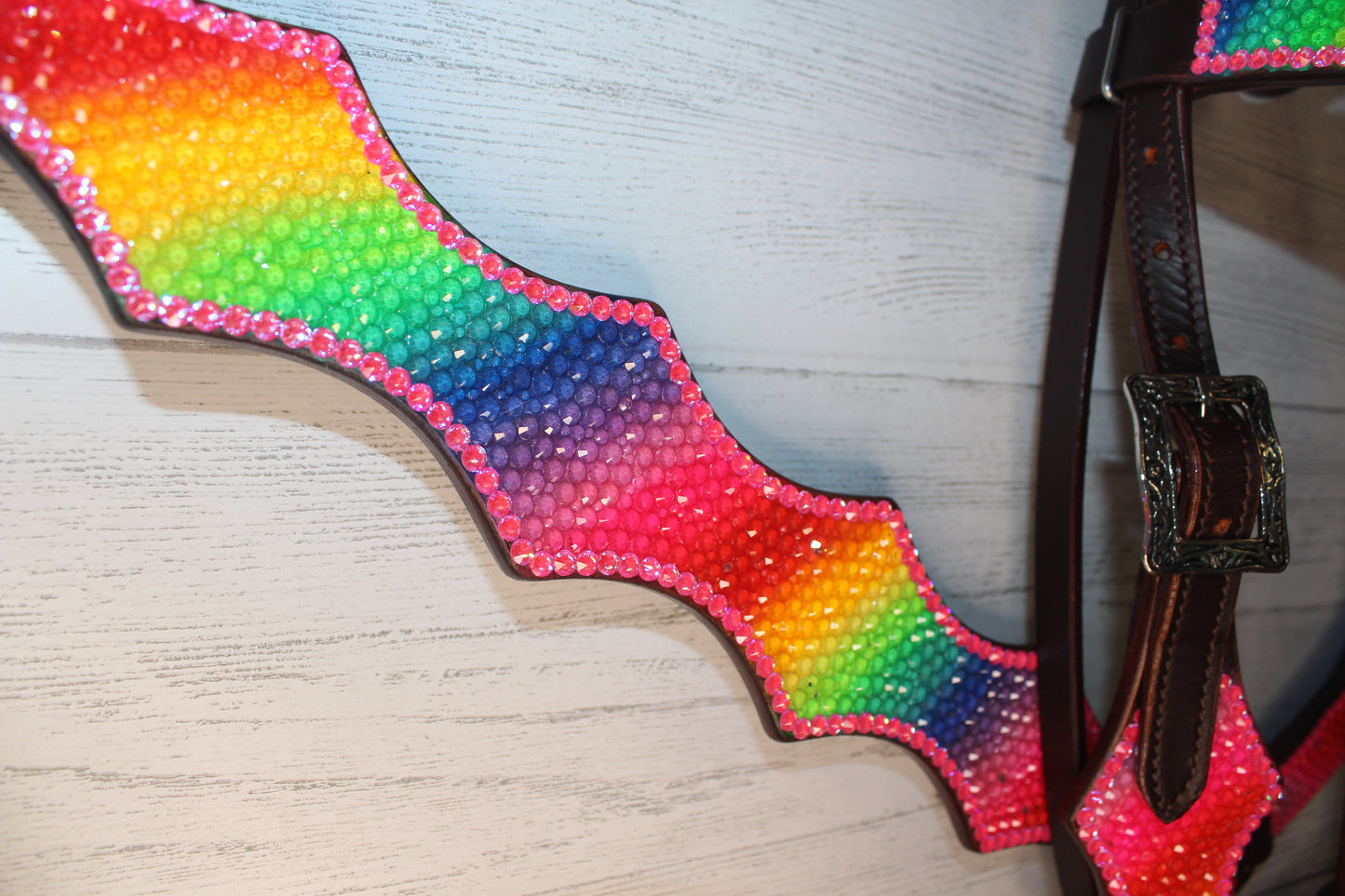 Rainbow Riot