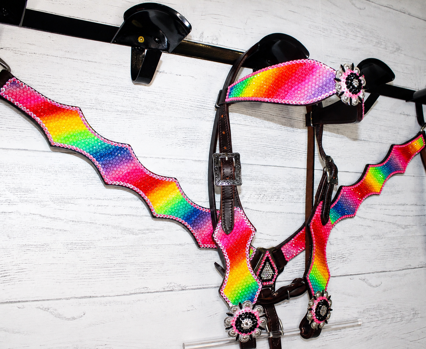 Rainbow Riot